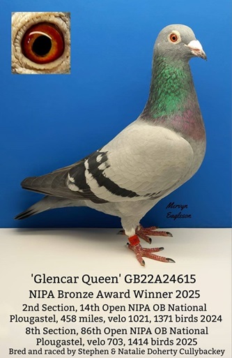 Glencar Queen 10 12 25b