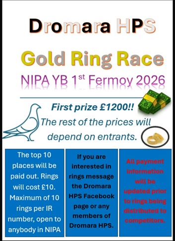 Dromara H.P.S. Gold Ring 2026 16 02 26a