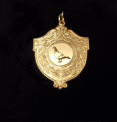 Gold Medal 03 02 26