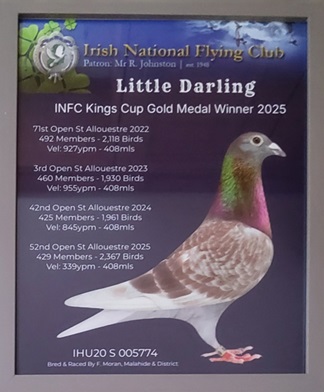 Little Darling 03 02 26