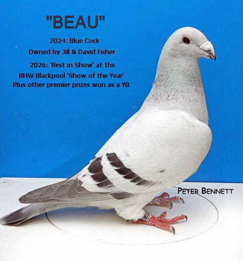 199B BEAU 06 03 26a