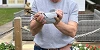 Kev Matthews with his Salisbury Fed topper 07 07 25a