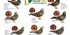 IMG 20230714 WA0014