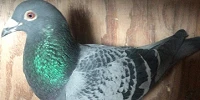 IMG 20210507 WA0004