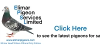 Elimar 2021 Small Website Link Logo