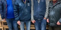 Ballylesson show