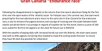 endurance race 01