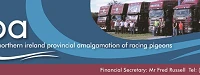 NIPA Banner