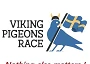 Viking Pigeons Race 2026