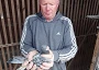 Kenny Ferns