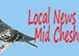 Smaller logo 3