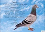 Mary see text